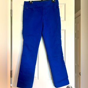 Royal Blue Fitted Slim Fit Pants, size 10